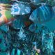 Guests enjoying the crystal clear water during the Bintan snorkeling tour.